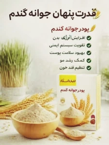 تصویر فروشگاه دهکده سلامتی