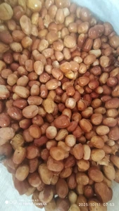 تصویر فروشگاه خشکبار حسین پور