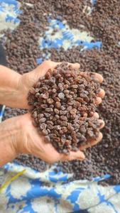 تصویر فروشگاه دختر کشاورز