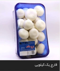 تصویر فروشگاه قارچ دزفول