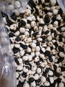 تصویر فروشگاه پخش آپاتان