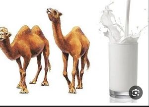 تصویر فروشگاه سوپرمارکت عباسی چاهداشی