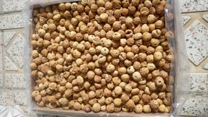 تصویر فروشگاه گردو سفید