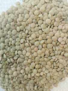 تصویر فروشگاه علافی جمالی