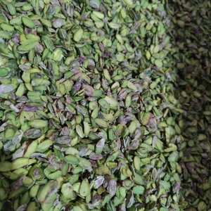 تصویر فروشگاه فرآورده های غذایی دلربا