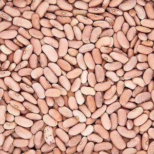 تصویر فروشگاه صباغ زرین