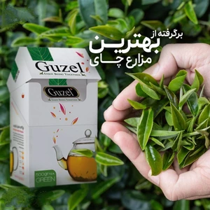 تصویر فروشگاه رویال کمپانی