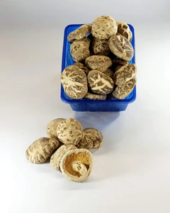 تصویر فروشگاه قارچیران