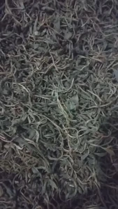 تصویر فروشگاه چای ناب ایران