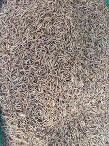 تصویر فروشگاه اکولارو