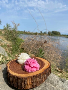 تصویر فروشگاه ماه کندی