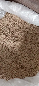 تصویر فروشگاه حبوبات آوین