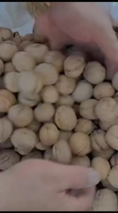 تصویر فروشگاه اسپیروز