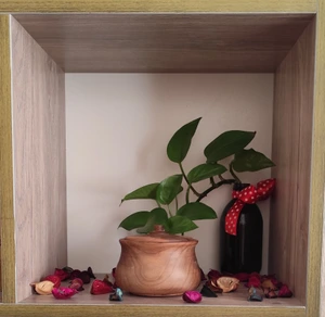 تصویر فروشگاه گالری چوب میعاد