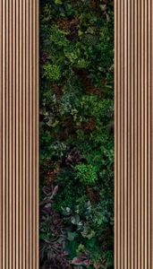 تصویر فروشگاه گیرین هوم