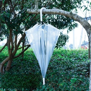 تصویر فروشگاه علیصدر