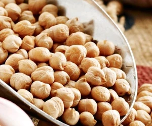 تصویر فروشگاه صباغ زرین