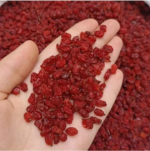 تصویر فروشگاه خشکبار گل محمدی