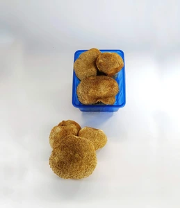 تصویر فروشگاه قارچیران