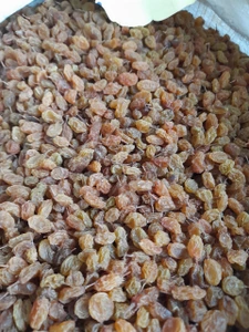 تصویر فروشگاه عطاری مامیران