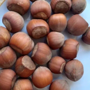 تصویر فروشگاه سلامت محور دکتر بیز