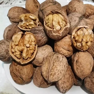 تصویر فروشگاه سلامت محور دکتر بیز