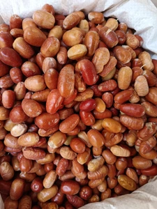 تصویر فروشگاه خواروبار مژده