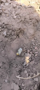 تصویر فروشگاه محصولات خانگی اسفندیار