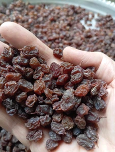 تصویر فروشگاه شهلا ۷