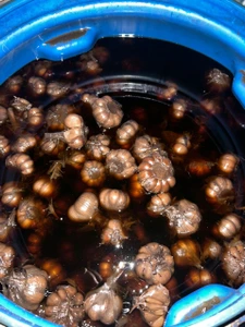 تصویر فروشگاه رستوران مزه شمالی ایزد شهر