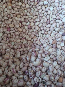 تصویر فروشگاه مروارید شاپ تهران