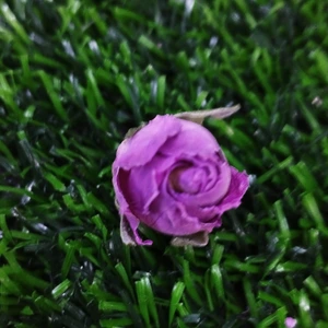 تصویر فروشگاه عطاری نیشابوری کوهسار