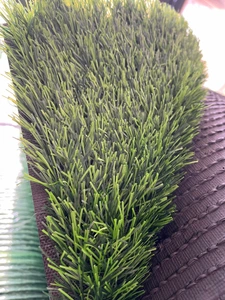 تصویر فروشگاه دهکده چمن