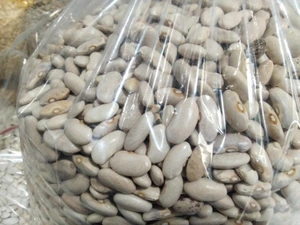 تصویر فروشگاه مواد غذایی مشهد