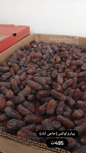 تصویر فروشگاه خوشه طلایی جنوب