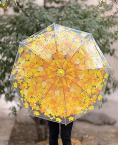 تصویر فروشگاه علیصدر