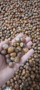 تصویر فروشگاه خشکبار هادی