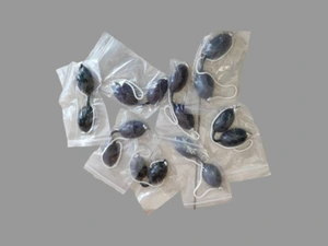 تصویر فروشگاه بهداشتی پزشکی شفا