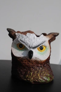 تصویر فروشگاه کافه گالری گایار