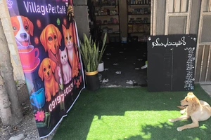 تصویر فروشگاه پت شاپ دهکده