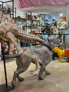 تصویر فروشگاه ماهی کادو