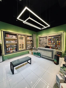 تصویر فروشگاه گاندو گجت