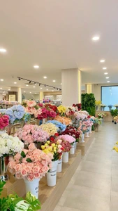 تصویر فروشگاه گل فروشی دل