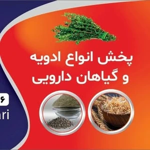 تصویر فروشگاه جوانه گندم زرین