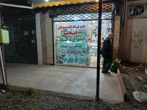 تصویر فروشگاه داروخانه گیاهپزشکی فجر