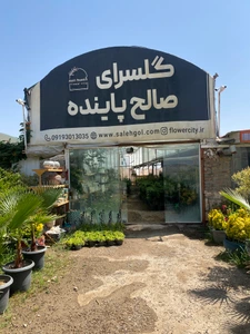 تصویر فروشگاه صالح گل محلات