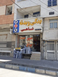 تصویر فروشگاه لوازم یدکی بدنه شاهی