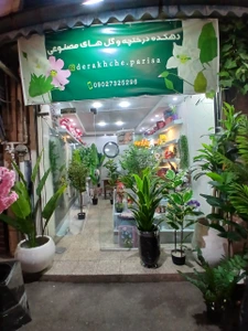 تصویر فروشگاه حیدری درختچه رشت