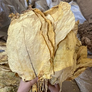 تصویر فروشگاه هایپر عرفان