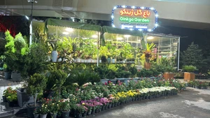 تصویر فروشگاه باغ گل ژینکو